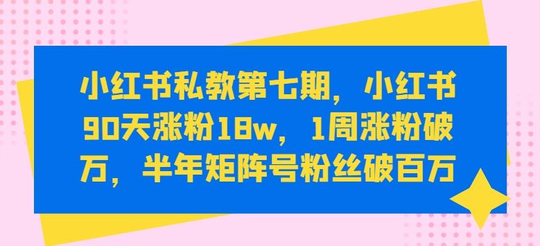 小红书私教第七期，小红书90天涨粉18w，1周涨粉破万，半年矩阵号粉丝破百万-985网创
