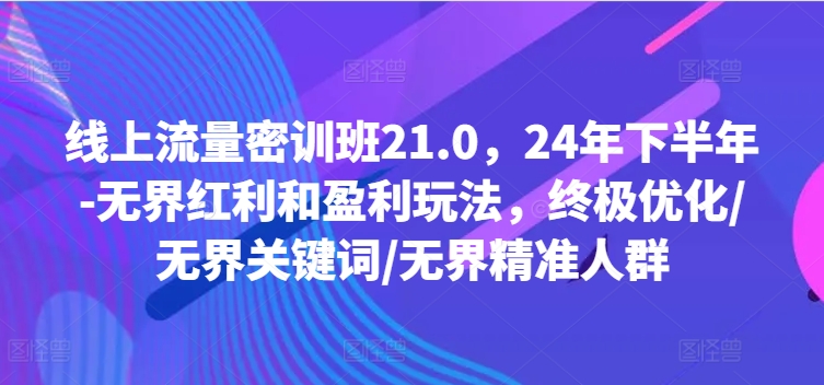 线上流量密训班21.0，24年下半年-无界红利和盈利玩法，终极优化/无界关键词/无界精准人群-985网创