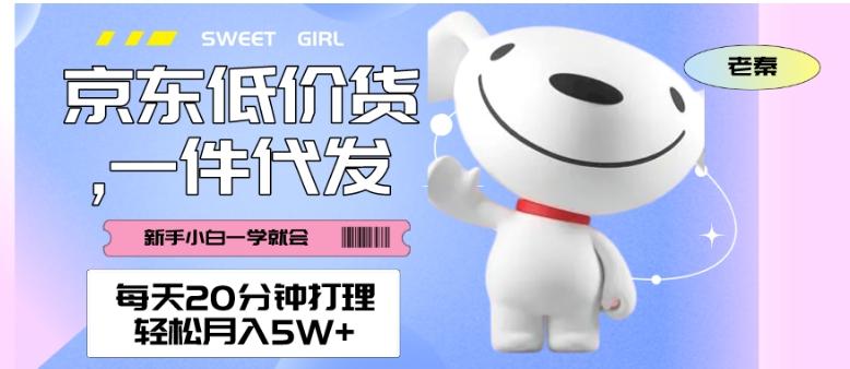 每天20分钟打理京东低价货，一件代发-轻松月入5W＋-985网创