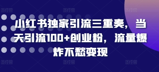 小红书独家引流三重奏，当天引流100+创业粉，流量爆炸不愁变现【揭秘】-985网创