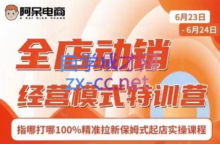 阿呆电商·全店动销经营模式特训营(线下录音+思维导图)-985网创