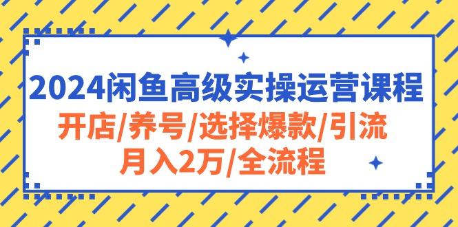 2024闲鱼高级实操运营课程：开店/养号/选择爆款/引流/月入2万/全流程-985网创