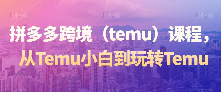 拼多多跨境（temu）课程，从Temu小白到玩转Temu-985网创
