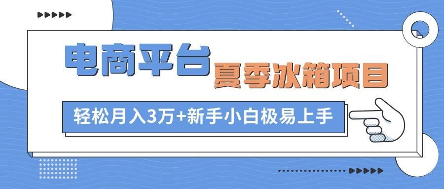 电商平台夏季冰箱项目，轻松月入3万+，新手小白极易上手-985网创