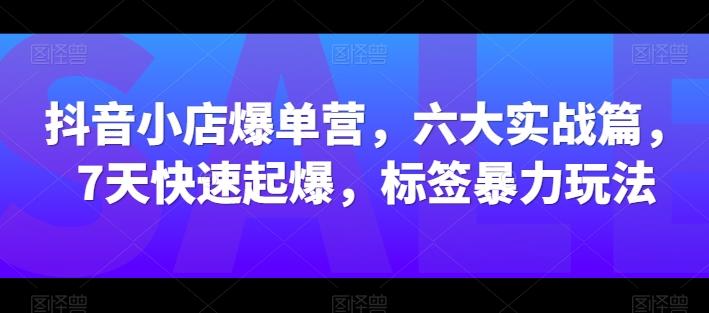 抖音小店爆单营，六大实战篇，7天快速起爆，标签暴力玩法-985网创