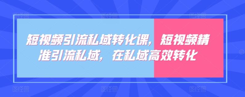 短视频引流私域转化课，短视频精准引流私域，在私域高效转化-985网创