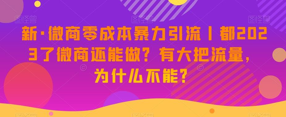 新·微商零成本暴力引流丨都2023了微商还能做？有大把流量，为什么不能？-985网创