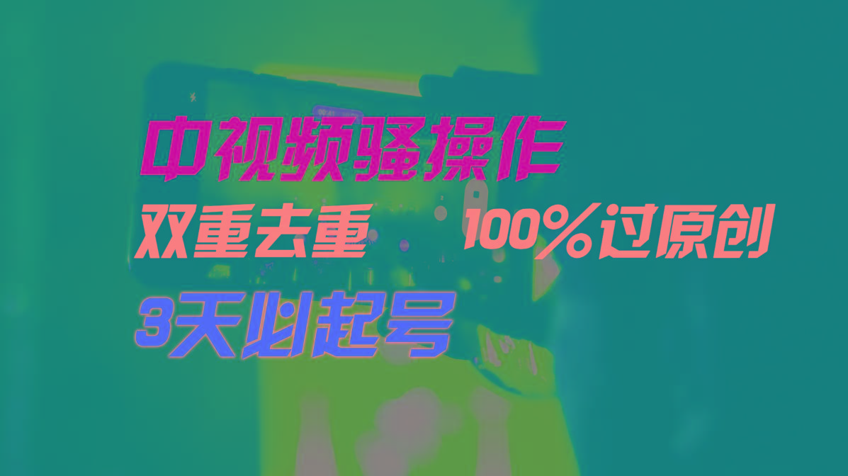中视频骚操作，双重去重100%过原创，3天比必起号，简单无脑，月入3W+-985网创