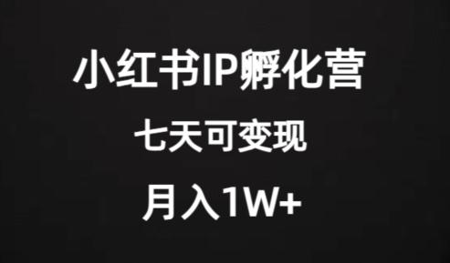 价值2000+的小红书IP孵化营项目，超级大蓝海，七天即可开始变现，稳定月入1W+-985网创
