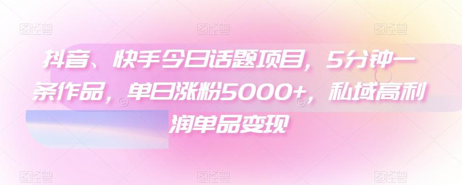 抖音、快手今日话题项目，5分钟一条作品，单日涨粉5000+，私域高利润单品变现-985网创