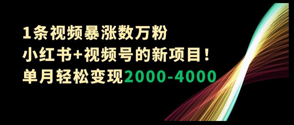 1条视频暴涨数万粉--小红书+视频号的新项目！单月轻松变现2000-4000【揭秘】-985网创
