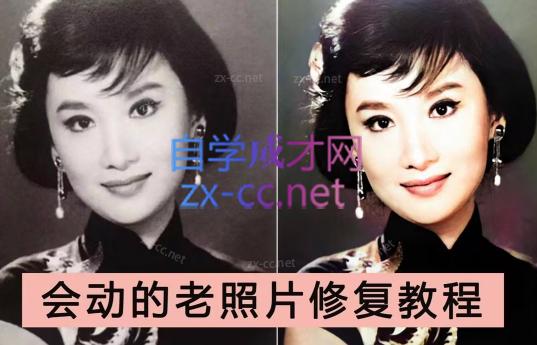 AI老相片视频变现训练营-985网创
