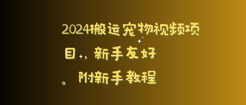 2024搬运宠物视频项目，新手友好，完美去重，附新手教程【揭秘】-985网创