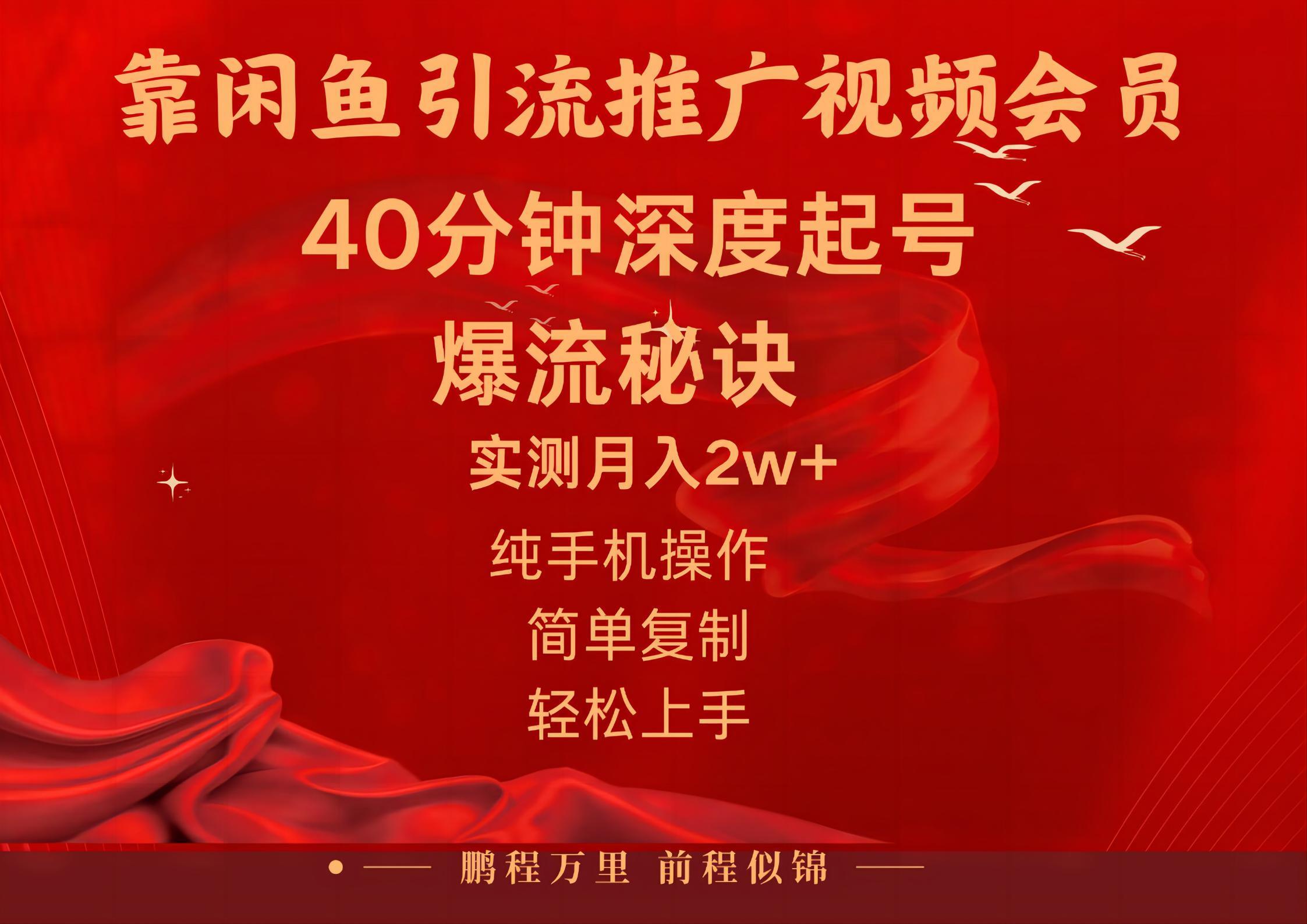 闲鱼暴力引流推广视频会员，能做到日入2W+，操作简单-985网创