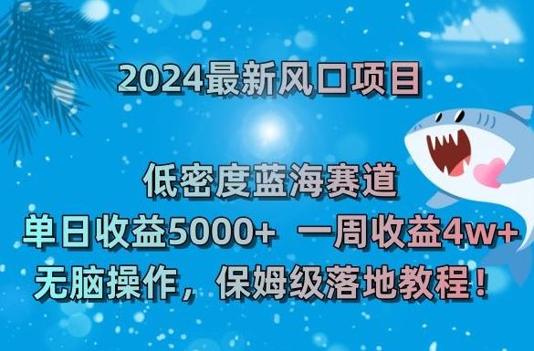 2024最新风口项目，低密度蓝海赛道，单日收益5000+，一周收益4w+！【揭秘】-985网创