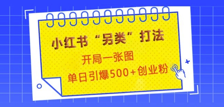 小红书“另类”打法，开局一张图，单日引爆500+精准创业粉【揭秘】-985网创