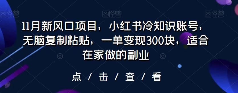 11月新风口项目，小红书冷知识账号，无脑复制粘贴，一单变现300块，适合在家做的副业-985网创