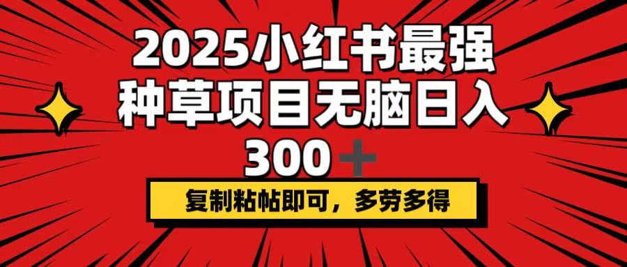 2025小红书最强种草项目，无脑日入300+，复制粘帖即可，多劳多得-985网创