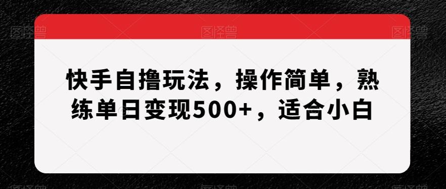 快手自撸玩法，操作简单，熟练单日变现500+，适合小白【揭秘】-985网创
