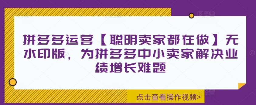 拼多多运营【聪明卖家都在做】无水印版，为拼多多中小卖家解决业绩增长难题-985网创