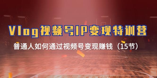 Vlog 视频号IP变现特训营，普通人如何通过视频号变现赚钱(15节-985网创