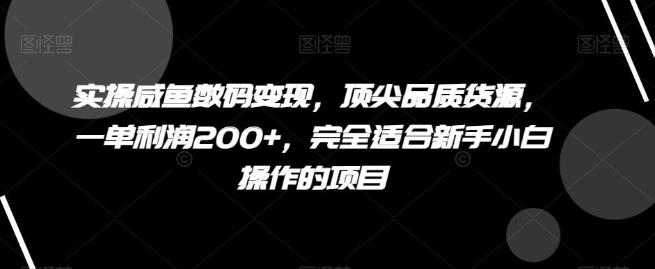 实操咸鱼数码变现，顶尖品质货源，一单利润200+，完全适合新手小白操作的项目【揭秘】-985网创