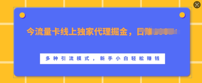 流量卡线上独家代理掘金，日入1k+ ，多种引流模式，新手小白轻松上手【揭秘】-985网创