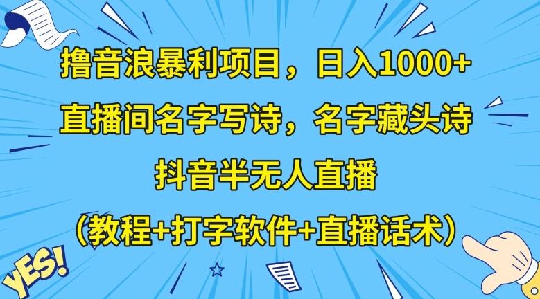 撸音浪暴利项目，日入1000+，直播间名字写诗，名字藏头诗，抖音半无人直播（教程+打字软件+直播话术）【揭秘】-985网创