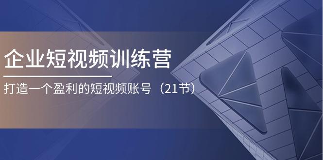 企业短视频训练营：打造一个盈利的短视频账号(21节-985网创