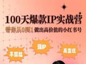 小红书100天爆款IP实战营，带你从0到1做出高价值的小红书号-985网创