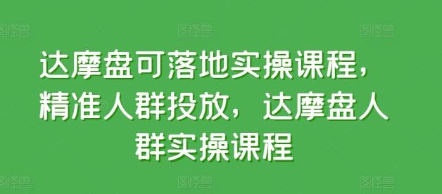达摩盘可落地实操课程，精准人群投放，达摩盘人群实操课程-985网创