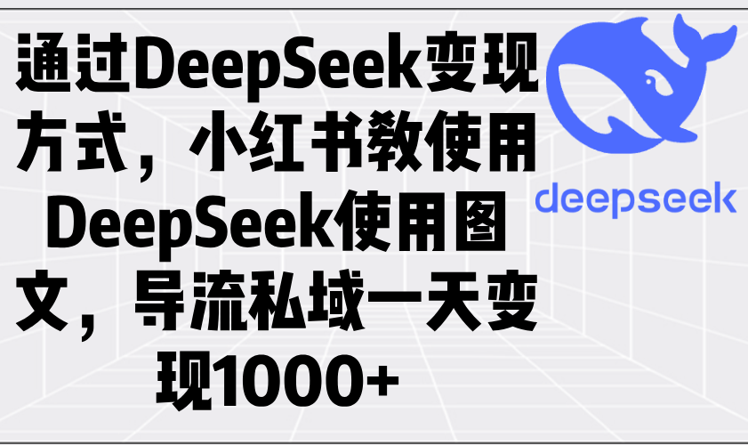 通过DeepSeek变现方式，小红书教使用DeepSeek图文，导流私域一天变现1000+-985网创