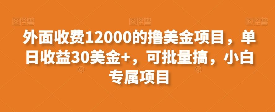 外面收费12000的撸美金项目，单日收益30美金+，可批量搞，小白专属项目-985网创
