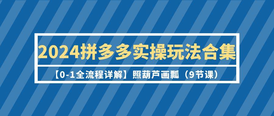 (9559期)2024拼多多实操玩法合集【0-1全流程详解】照葫芦画瓢(9节课)-985网创
