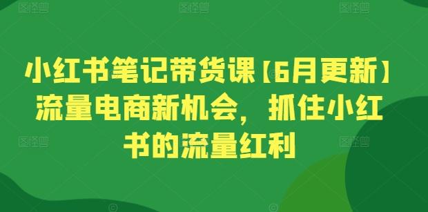 小红书笔记带货课【6月更新】流量电商新机会，抓住小红书的流量红利-985网创