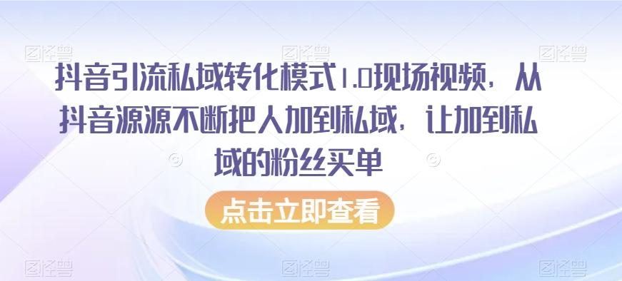 抖音引流私域转化模式1.0现场视频，从抖音源源不断把人加到私域，让加到私域的粉丝买单-985网创