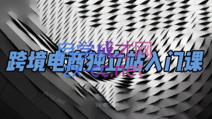 团长·跨境电商独立站入门课(2小时精华)-985网创