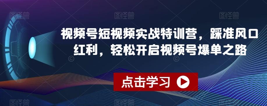 视频号短视频实战特训营，踩准风口红利，轻松开启视频号爆单之路-985网创