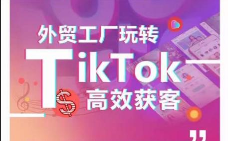 外贸工厂玩转TikTok高效获客，多种引流方式与账号定位技巧，拆解爆款短视频打造成功案例-985网创