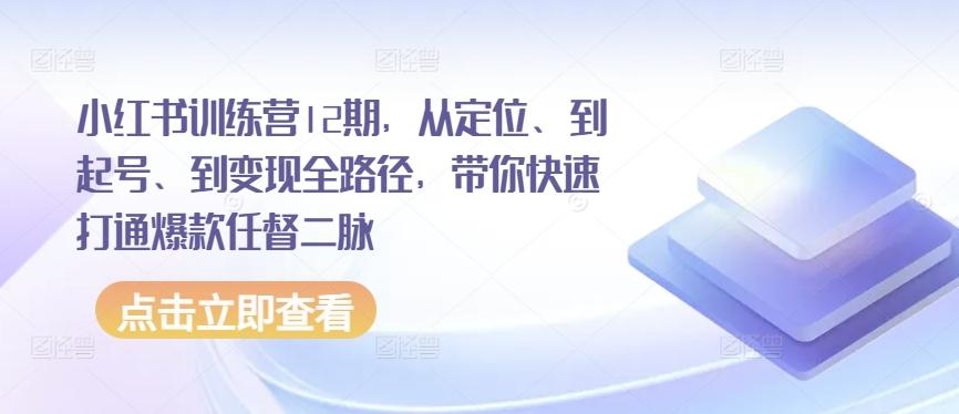 小红书训练营12期，从定位、到起号、到变现全路径，带你快速打通爆款任督二脉-985网创