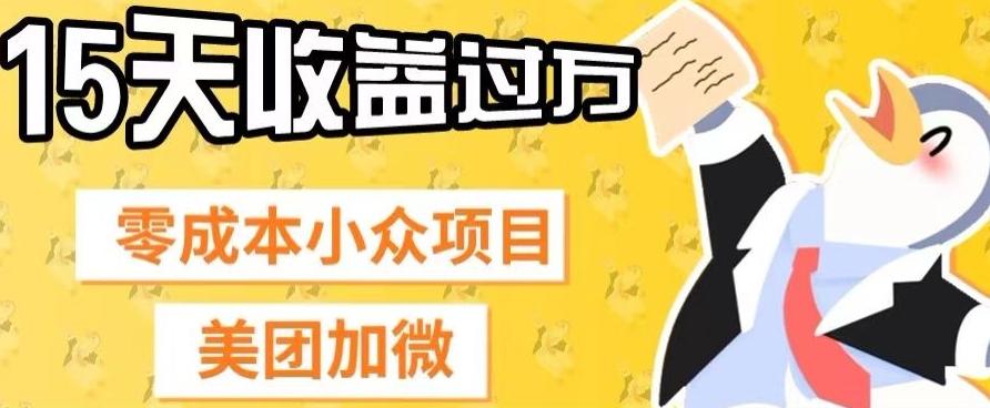 零成本小众项目，美团加微，一单4.5+，15天已经有人赚上万收益-985网创