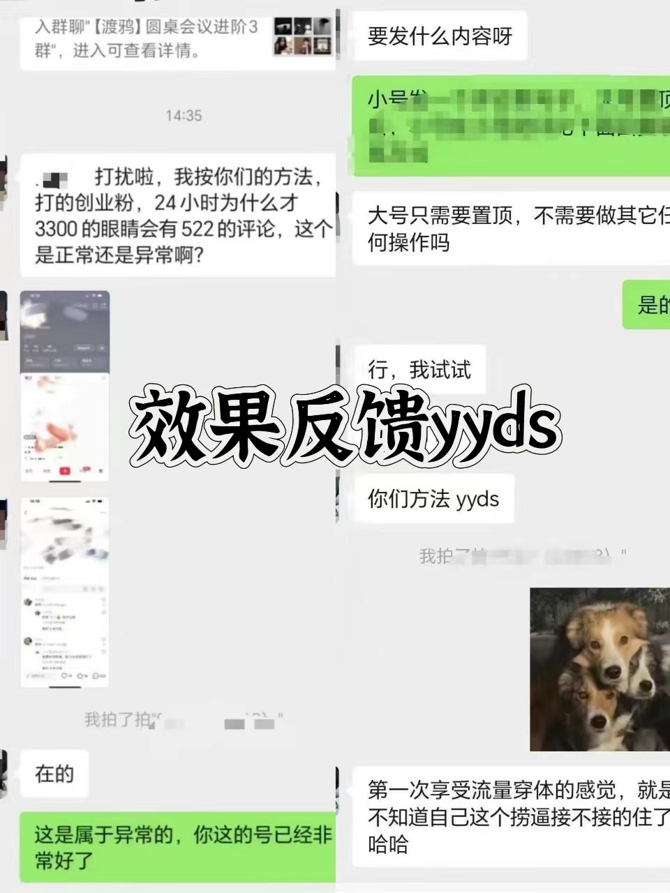 图片[3]-抖音小红书视频号全平台引流打法，全自动引流日引2000+精准客户-985网创