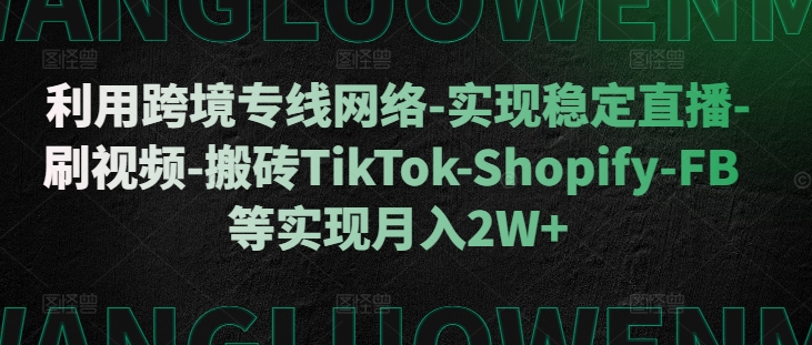 利用跨境专线网络-实现稳定直播-刷视频-搬砖TikTok-Shopify-FB等实现月入2W+【揭秘】-985网创