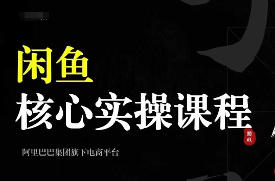 2024闲鱼核心实操课程，从养号、选品、发布、销售，教你做一个出单的闲鱼号-985网创