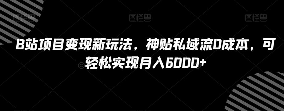 B站项目变现新玩法，神贴私域流0成本，可轻松实现月入6000+【揭秘】-985网创