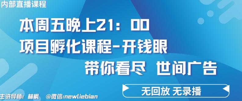 4.26日内部回放课程《项目孵化-开钱眼》赚钱的底层逻辑【揭秘】-985网创
