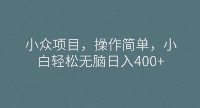 小众项目，操作简单，小白轻松无脑日入400+-985网创