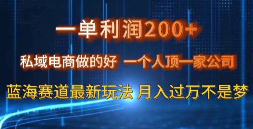 一单利润200私域电商做的好，一个人顶一家公司蓝海赛道最新玩法【揭秘】-985网创