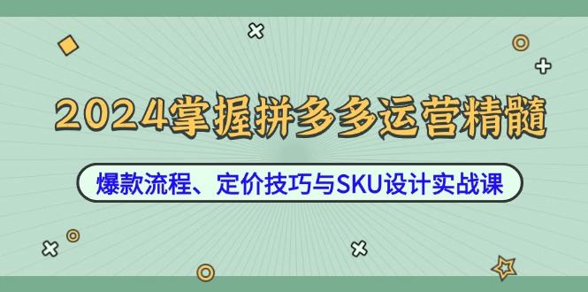 2024掌握拼多多运营精髓：爆款流程、定价技巧与SKU设计实战课-985网创