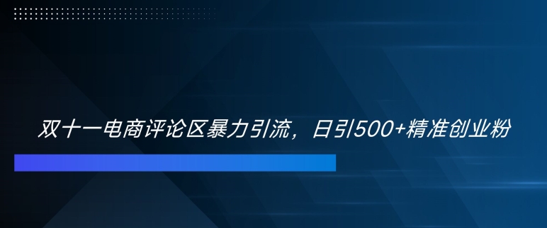双十一电商评论区暴力引流，日引500+精准创业粉【揭秘】-985网创